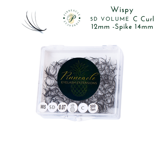 Wispy 500 Fans | 5D volume | C curl | 12mm (spike 14mm)